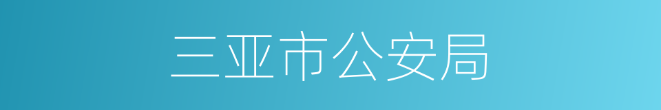 三亚市公安局的同义词