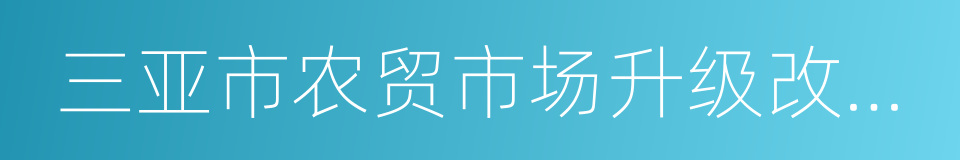 三亚市农贸市场升级改造工作实施方案的同义词