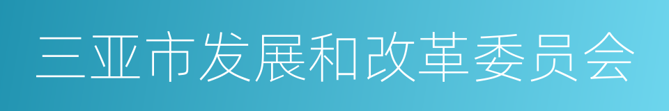 三亚市发展和改革委员会的同义词