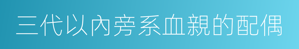 三代以內旁系血親的配偶的同義詞