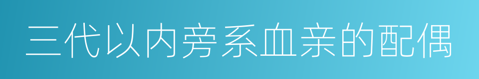 三代以内旁系血亲的配偶的同义词