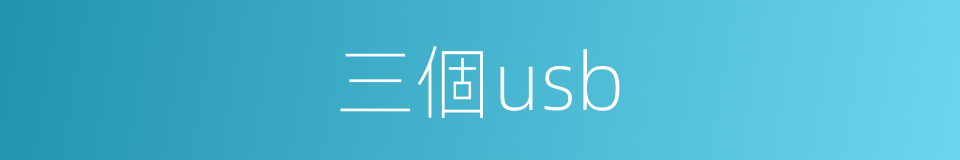三個usb的同義詞