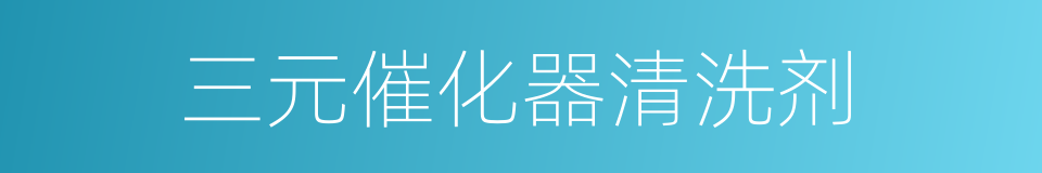 三元催化器清洗剂的同义词