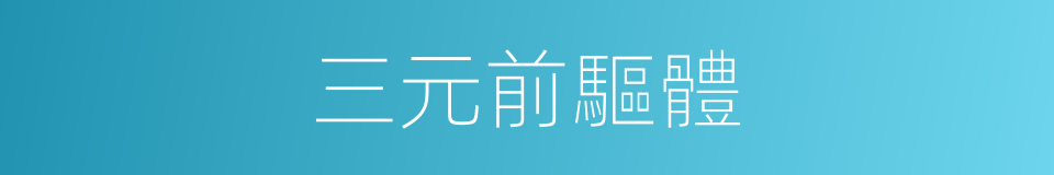 三元前驅體的同義詞