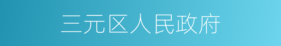 三元区人民政府的同义词