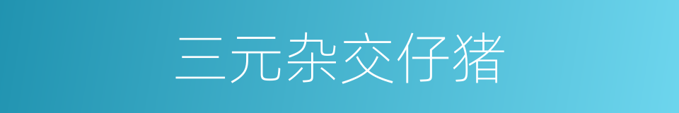 三元杂交仔猪的同义词