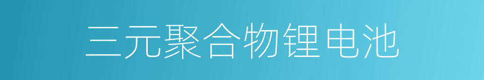 三元聚合物锂电池的同义词