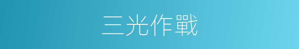 三光作戰的同義詞