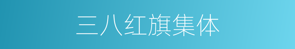三八红旗集体的同义词