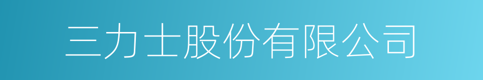 三力士股份有限公司的同义词