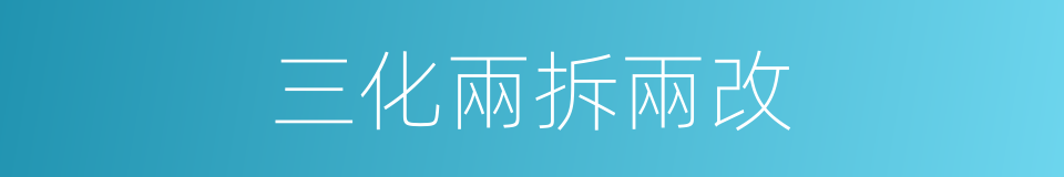 三化兩拆兩改的同義詞