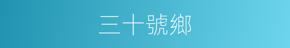 三十號鄉的同義詞