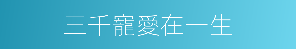 三千寵愛在一生的同義詞