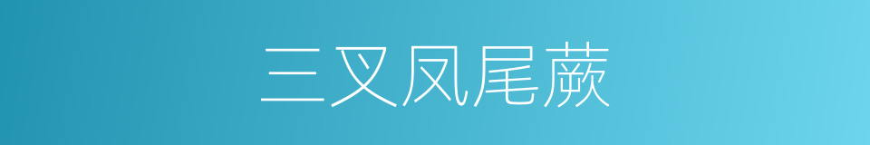 三叉凤尾蕨的同义词