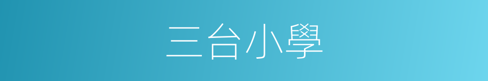 三台小學的同義詞