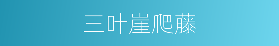 三叶崖爬藤的同义词