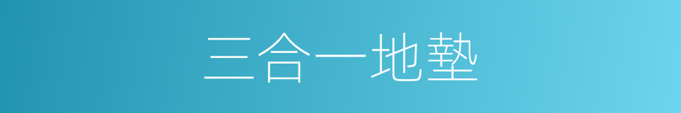 三合一地墊的同義詞