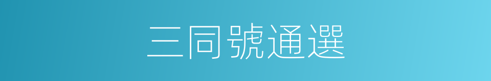 三同號通選的同義詞