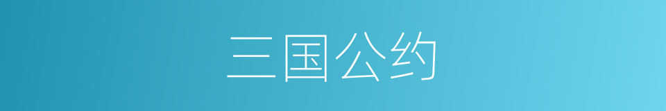 三国公约的同义词