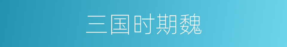 三国时期魏的同义词