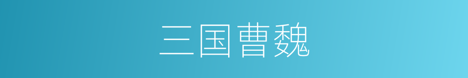 三国曹魏的同义词