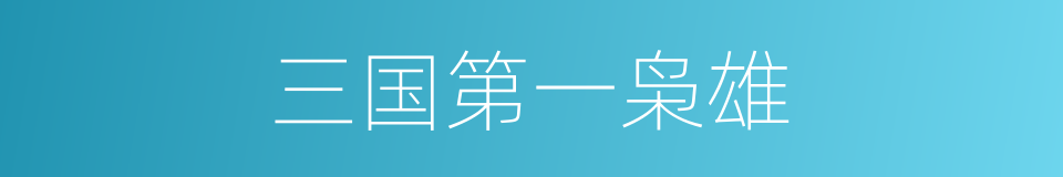 三国第一枭雄的同义词