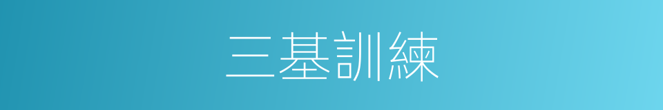 三基訓練的同義詞