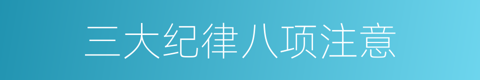 三大纪律八项注意的同义词