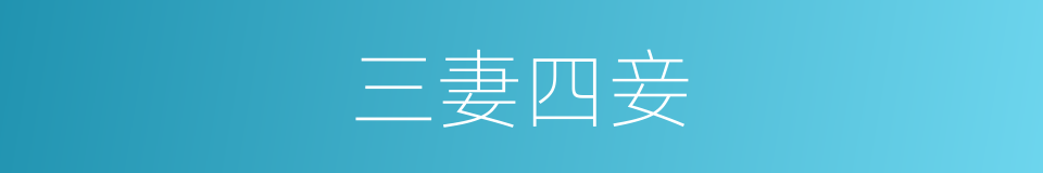 三妻四妾的意思