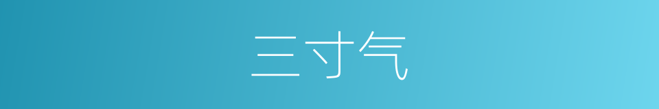 三寸气的意思