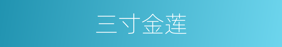 三寸金莲的意思