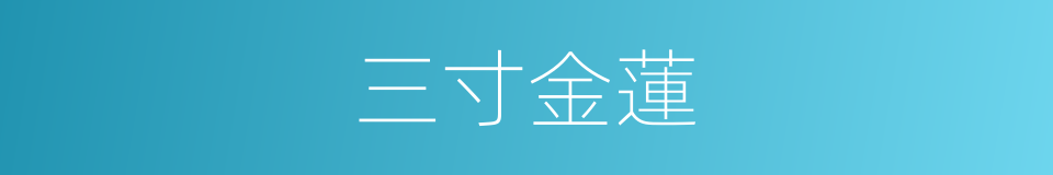 三寸金蓮的意思