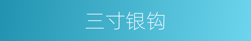 三寸银钩的意思