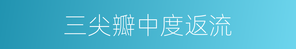 三尖瓣中度返流的同义词