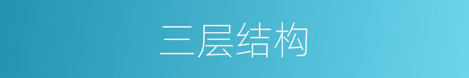 三层结构的同义词
