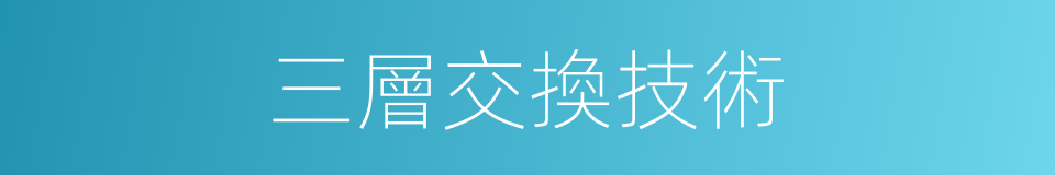 三層交換技術的同義詞