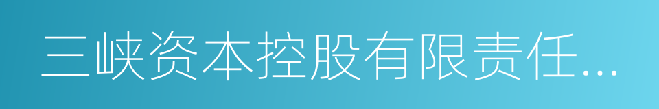 三峡资本控股有限责任公司的同义词