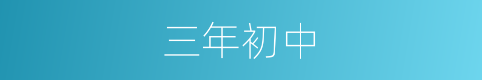 三年初中的同义词