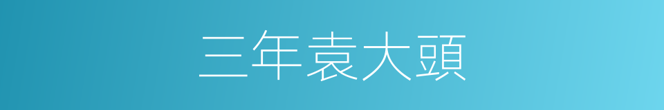 三年袁大頭的同義詞