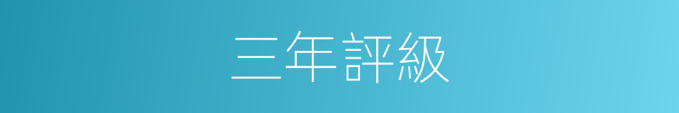 三年評級的同義詞