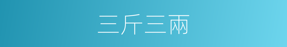 三斤三兩的同義詞