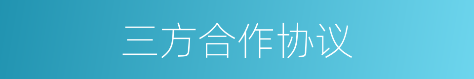三方合作协议的同义词