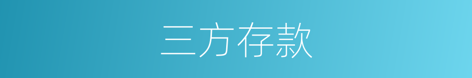 三方存款的同义词