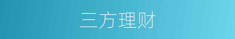 三方理财的同义词