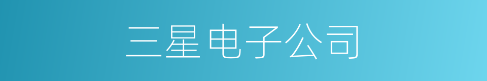 三星电子公司的同义词