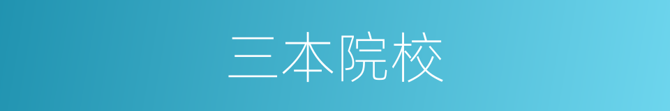 三本院校的同义词