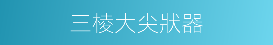 三棱大尖狀器的同義詞