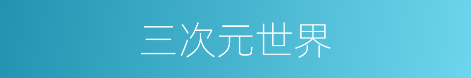 三次元世界的同义词