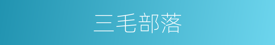 三毛部落的同义词
