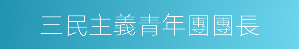 三民主義青年團團長的同義詞